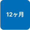 12ヶ月